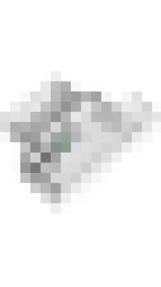 Zonnedauw 154 Tiel thumbnail 59