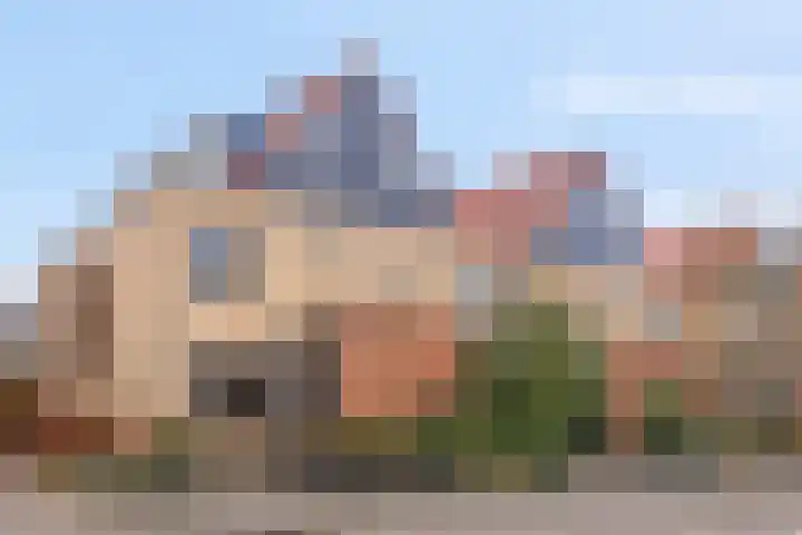Zonnedauw 159 Tiel