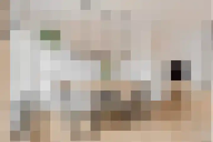 Zonnedauw 159 Tiel thumbnail 12