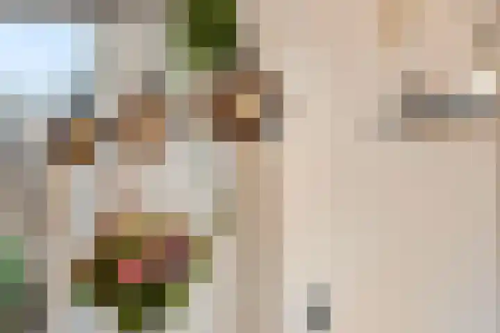 Zonnedauw 159 Tiel thumbnail 13