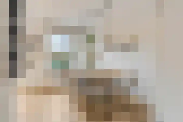 Zonnedauw 159 Tiel thumbnail 14