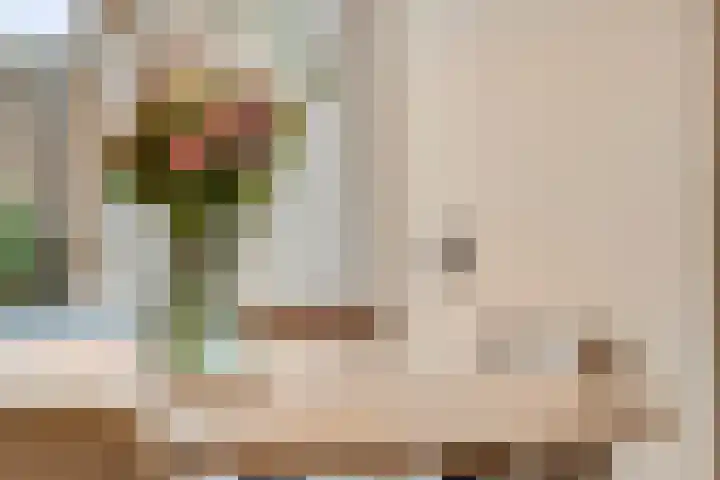 Zonnedauw 159 Tiel thumbnail 15