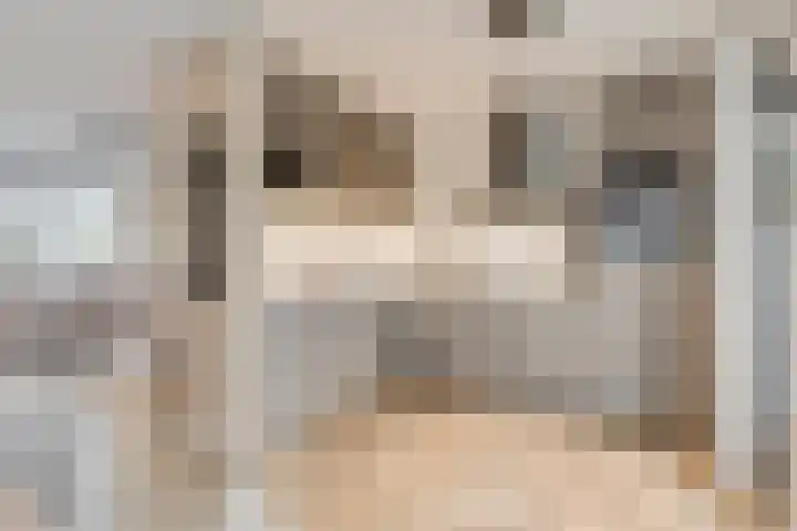 Zonnedauw 159 Tiel thumbnail 16