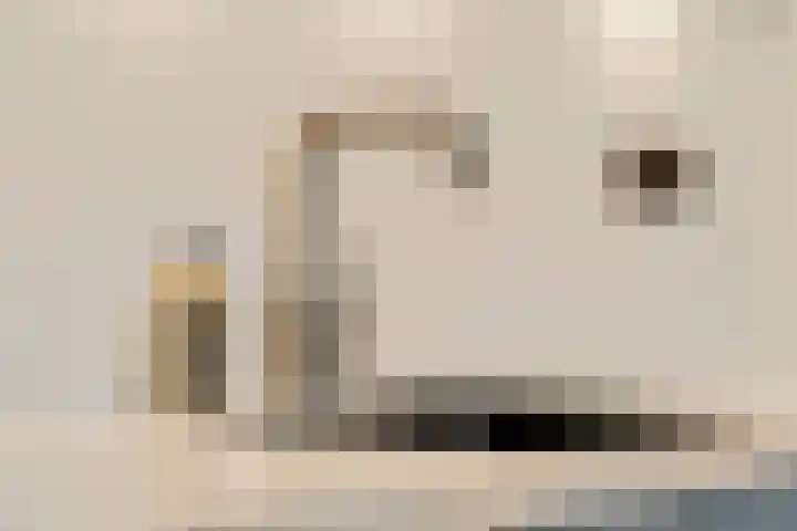 Zonnedauw 159 Tiel thumbnail 17