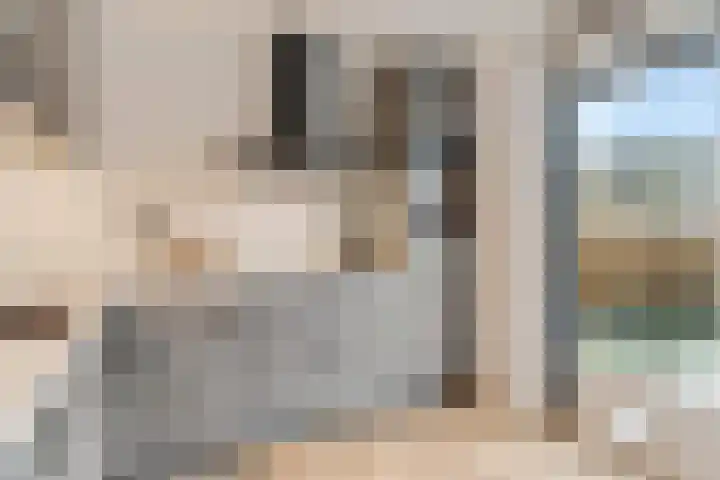 Zonnedauw 159 Tiel thumbnail 19
