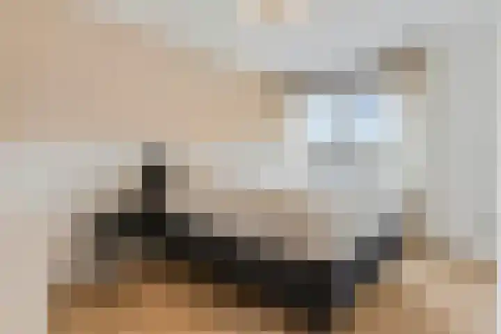 Zonnedauw 159 Tiel thumbnail 23