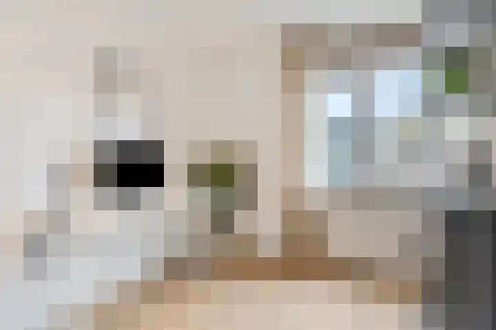 Zonnedauw 159 Tiel thumbnail 26
