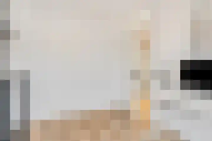 Zonnedauw 159 Tiel thumbnail 28