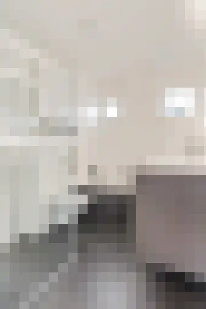 Zonnedauw 159 Tiel thumbnail 29