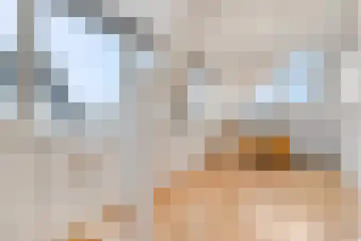 Zonnedauw 159 Tiel thumbnail 36