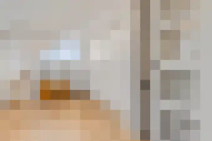 Zonnedauw 159 Tiel thumbnail 39