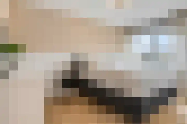 Zonnedauw 159 Tiel thumbnail 4