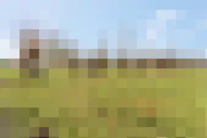 Zonnedauw 159 Tiel thumbnail 40