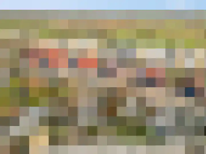 Zonnedauw 159 Tiel thumbnail 42
