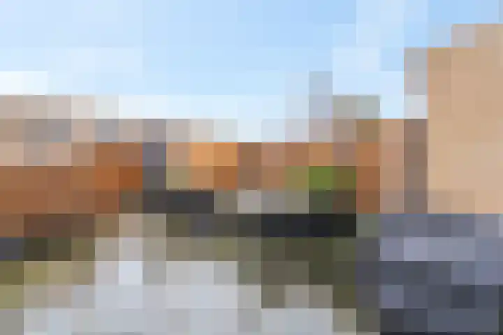 Zonnedauw 159 Tiel thumbnail 44