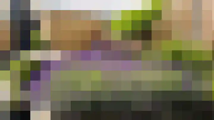 Zonnedauw 159 Tiel thumbnail 46