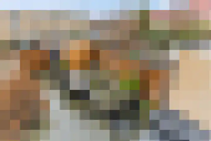 Zonnedauw 159 Tiel thumbnail 5