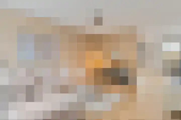 Zonnedauw 159 Tiel thumbnail 7