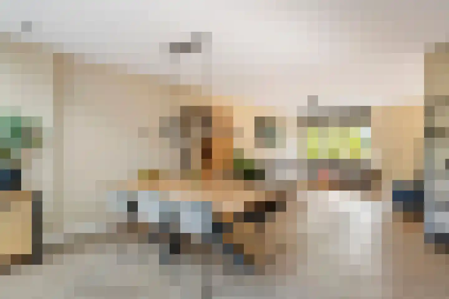 Zonnedauw 169 Tiel thumbnail 13