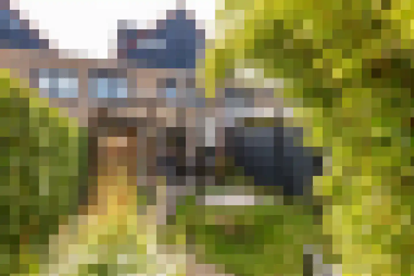 Zonnedauw 169 Tiel thumbnail 31