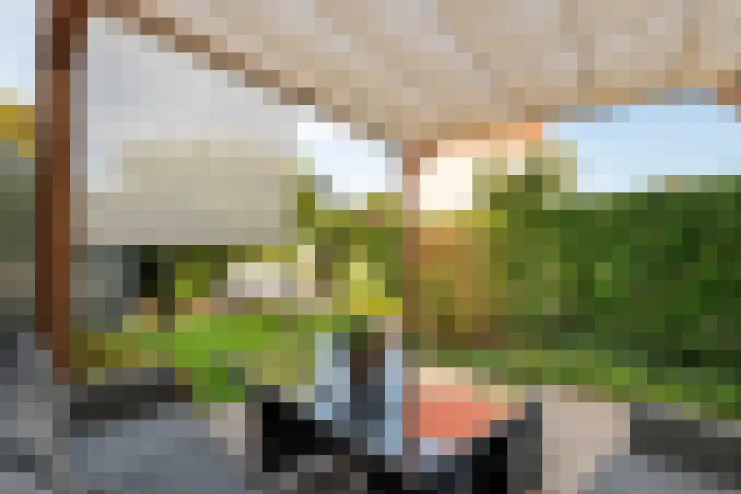 Zonnedauw 169 Tiel thumbnail 36