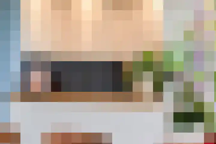 Zonnedauw 17 Mierlo thumbnail 10