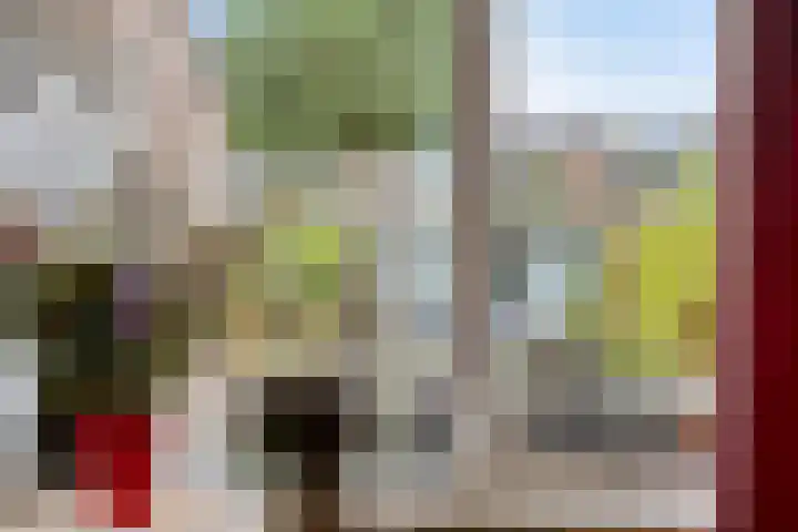 Zonnedauw 17 Mierlo thumbnail 13