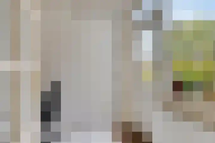 Zonnedauw 17 Mierlo thumbnail 14