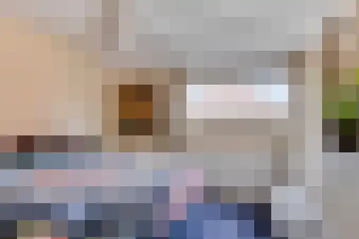 Zonnedauw 17 Mierlo thumbnail 15