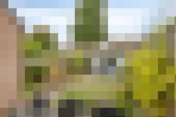 Zonnedauw 17 Mierlo thumbnail 16