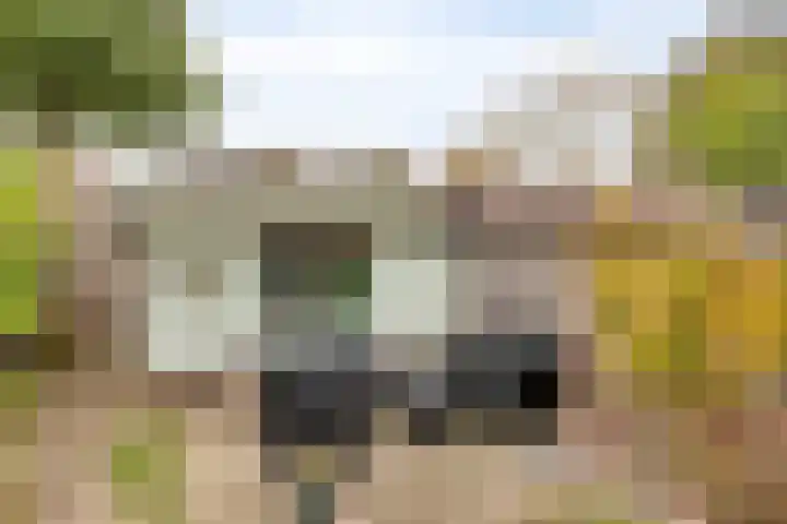 Zonnedauw 17 Mierlo thumbnail 17