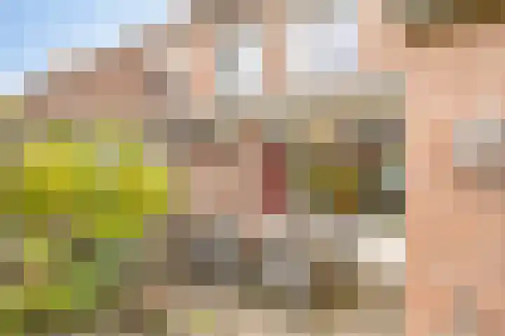 Zonnedauw 17 Mierlo thumbnail 18