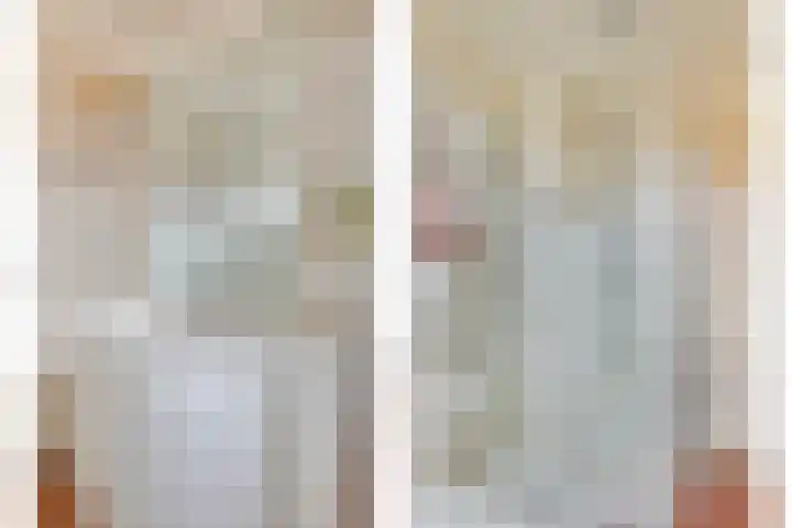 Zonnedauw 17 Mierlo thumbnail 20