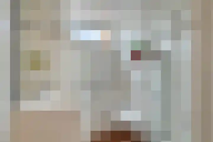 Zonnedauw 17 Mierlo thumbnail 21