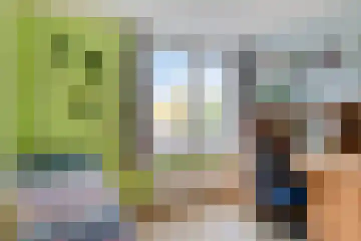 Zonnedauw 17 Mierlo thumbnail 22