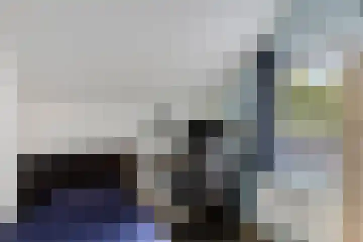 Zonnedauw 17 Mierlo thumbnail 23