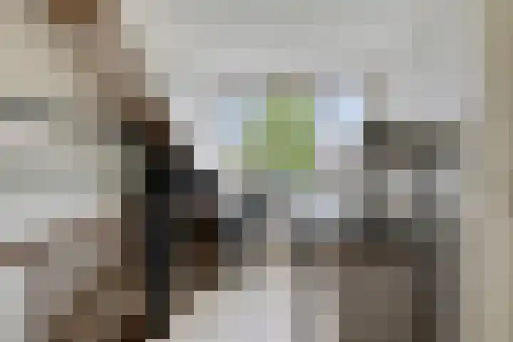 Zonnedauw 17 Mierlo thumbnail 24