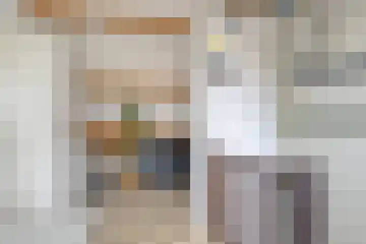 Zonnedauw 17 Mierlo thumbnail 25