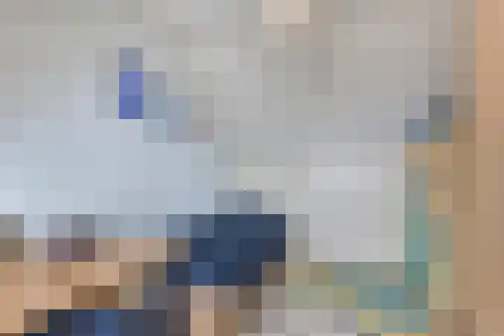 Zonnedauw 17 Mierlo thumbnail 27