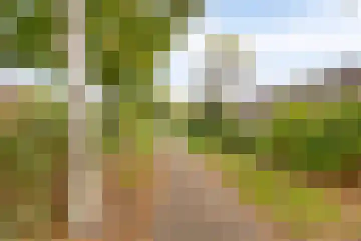Zonnedauw 17 Mierlo thumbnail 28