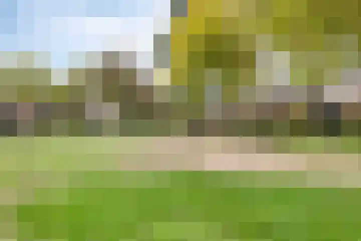 Zonnedauw 17 Mierlo thumbnail 29