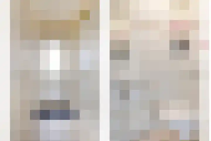 Zonnedauw 17 Mierlo thumbnail 4