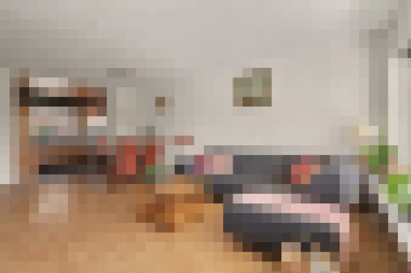 Zonnedauw 17 Reeuwijk thumbnail 12