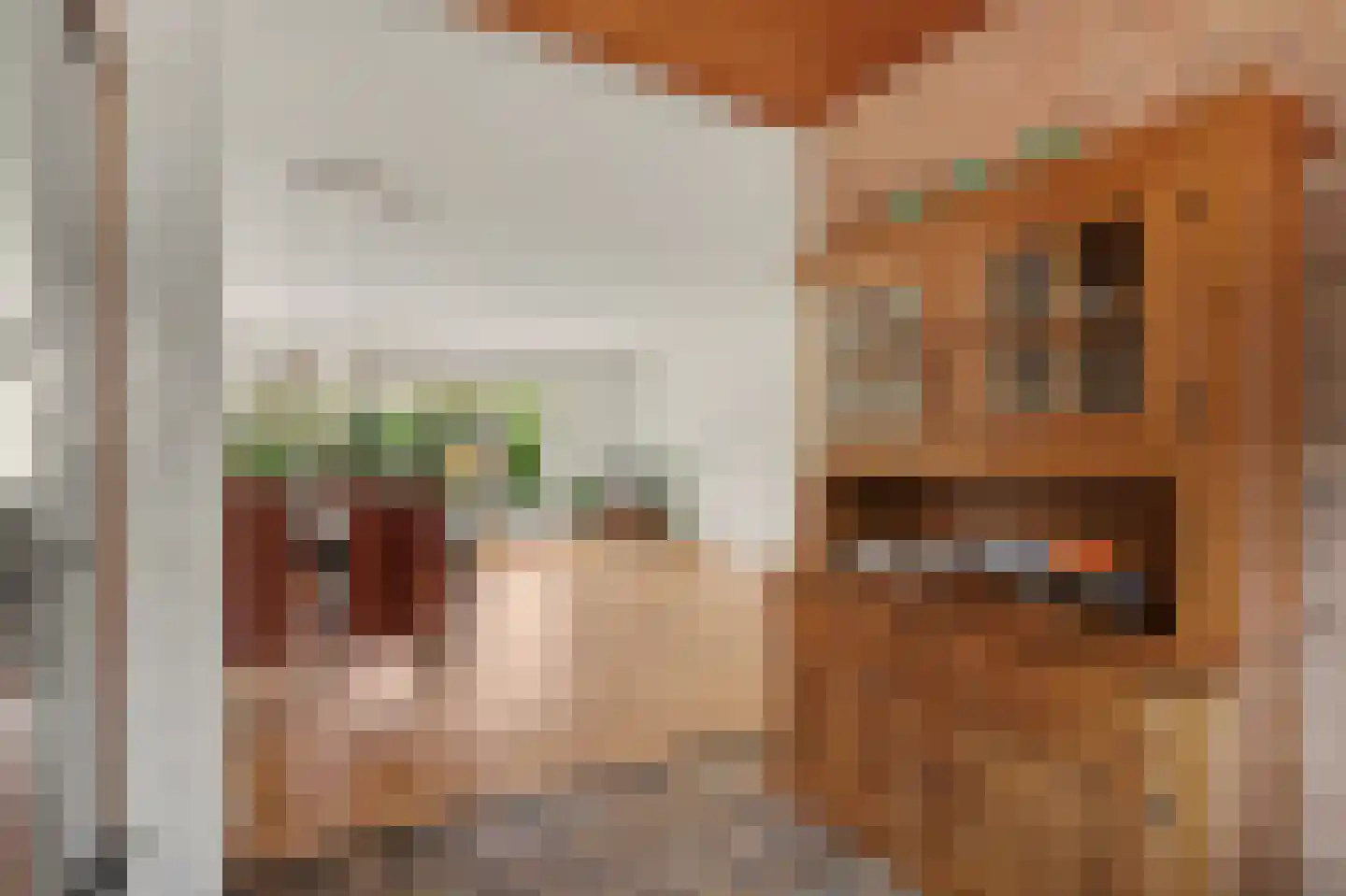 Zonnedauw 17 Reeuwijk thumbnail 17