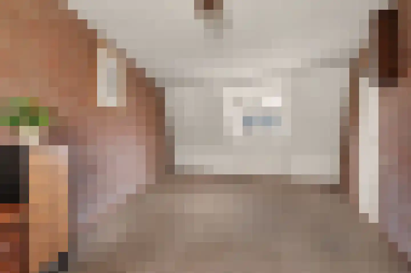 Zonnedauw 17 Reeuwijk thumbnail 24