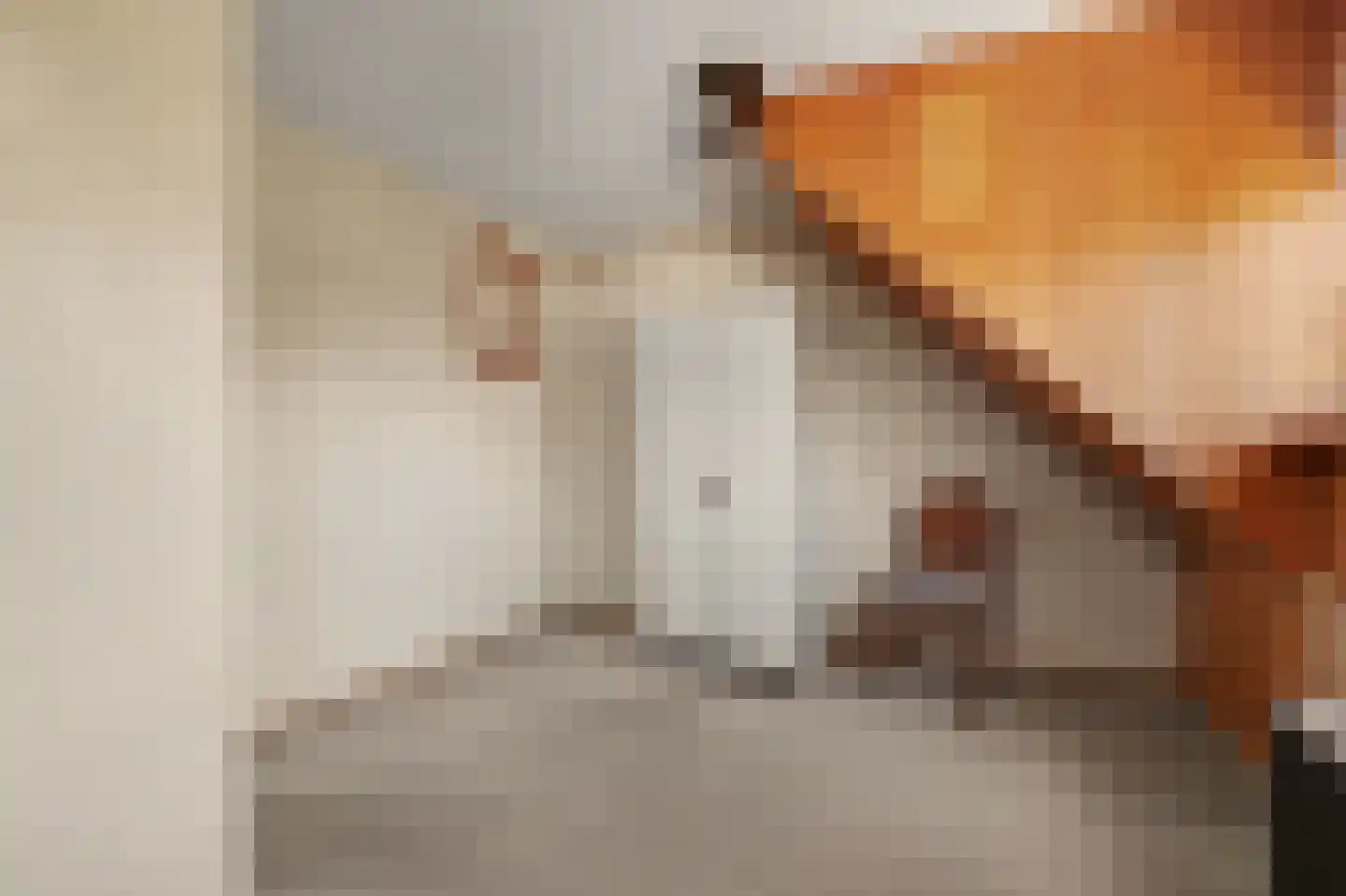 Zonnedauw 17 Reeuwijk thumbnail 29