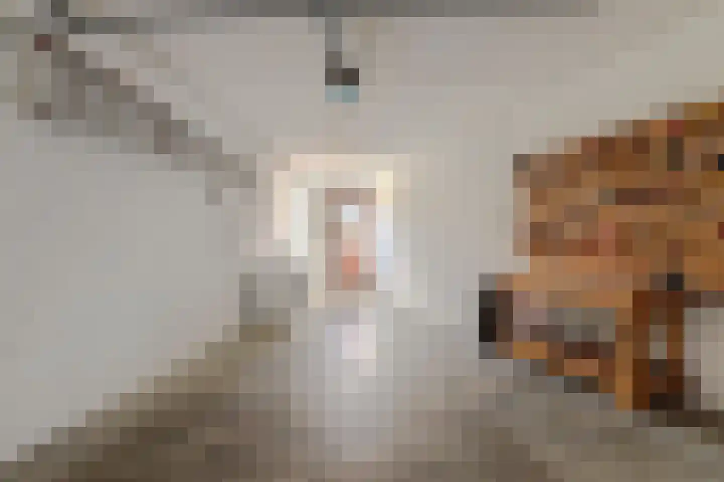 Zonnedauw 17 Reeuwijk thumbnail 33