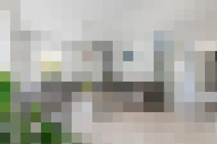 Zonnedauw 175 Tiel thumbnail 12
