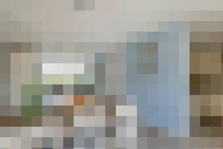 Zonnedauw 175 Tiel thumbnail 17