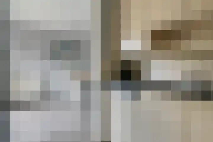 Zonnedauw 175 Tiel thumbnail 18